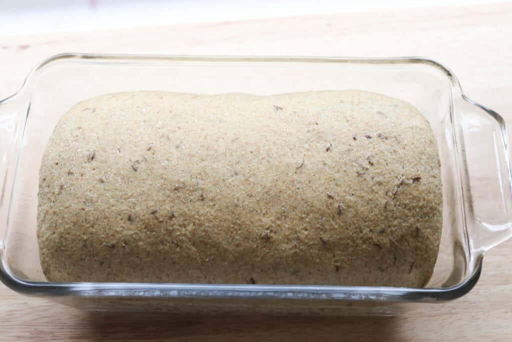 freshly milled marbled rye dough rising in a loaf pan