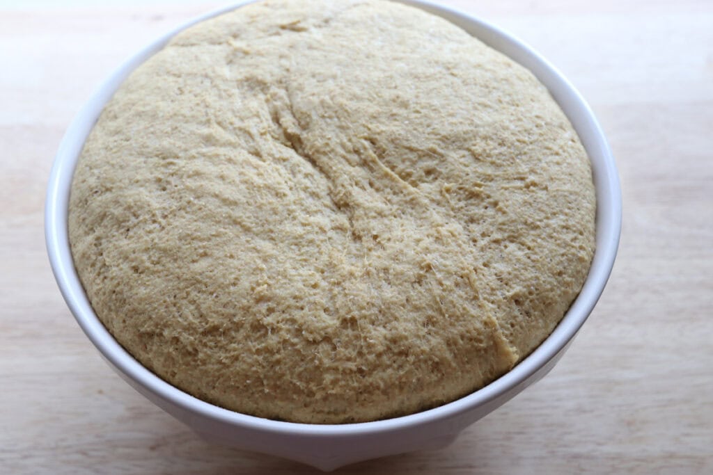 Fresh Milled Soft Pretzel Bite dough that has doubled in size in a white bowl