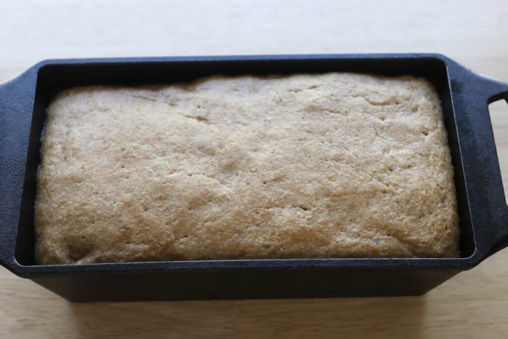 Freshly milled einkorn sandwich bread dough that has risen in a loaf pan 