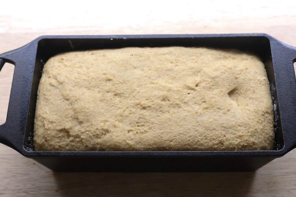 freshly milled english muffin toasting bread dough that has doubled in size